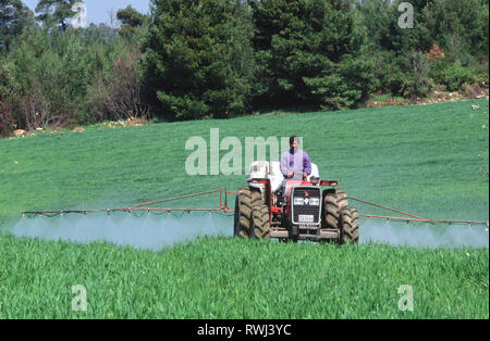 Ein Landwirt Sprays ein Feld von jungen Weizen auf der Insel Evia, Griechenland. Stockfoto