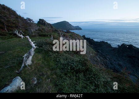 Sonnenuntergang, Forelle Fluss, Gros Morne National Park, Neufundland und Labrador Stockfoto