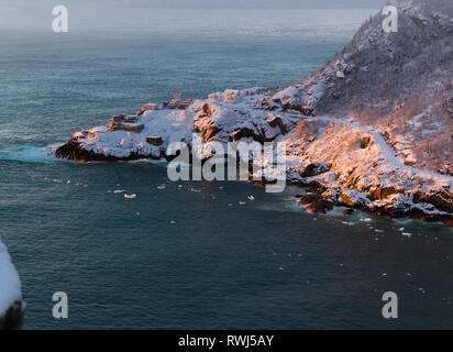 Sonnenaufgang an der Queen's Batterie, Signal Hill, St. John's, Neufundland und Labrador Stockfoto