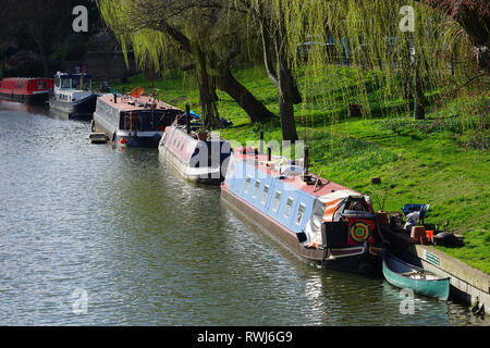 Schmale Boote auf dem Fluss Cam gegenüber Midsummer Common in Cambridge Stockfoto