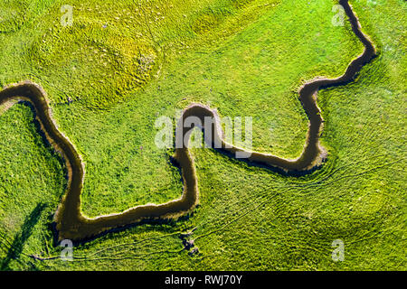 Luftaufnahme suchen gerade nach unten auf einer kurvigen Creek in ein grünes Feld, in der Nähe von Millerville; Alberta, Kanada Stockfoto