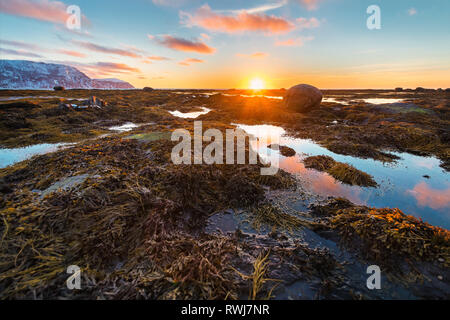 Sonnenuntergang über dem Golf von St. Lawerence, Rocky Harbour, Gros Morne National Park, Neufundland und Labrador Stockfoto