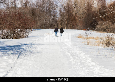 Paar im Park in sonniger Tag des Winters. Schnee auf dem Wanderweg Stockfoto