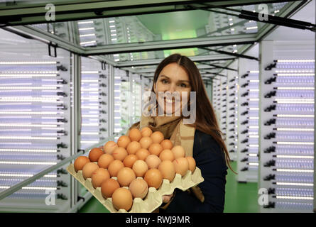Gnoien, Deutschland. 06 Mär, 2019. Annalina Behrens, Geschäftsführer der FL Brüterei MV GmbH, zeigt eine Packung Eier in die so genannte HATCHER. Die ersten Küken schlüpfen in der HATCHER von Mai 2019. Bis zu fünf Millionen Küken pro Jahr könnten dann in der ersten Brutplatz in Mecklenburg-Vorpommern ausgebrütet werden. Credit: Danny Gohlke/dpa-zentralbild/dpa/Alamy leben Nachrichten Stockfoto