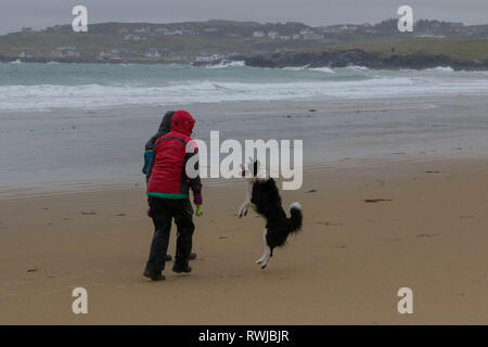 County Donegal, Irland. 06. März 2019. Irland Wetter - nach schweren nächtlichen Regen war es ein Tag der starken Winde und Regen in County Donegal. Trotz der treibenden Wind und Regen diese collie war einfach glücklich auf Dunfanaghy Beach zu spielen. Collie schwarze und weisse Hund springen gegenüber Menschen zu spielen. Quelle: David Hunter/Alamy Leben Nachrichten. Stockfoto