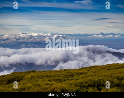 Landschaft mit einem Meer von Wolken in den Bergen im La Covatilla, Bejar (Salamanca) Stockfoto