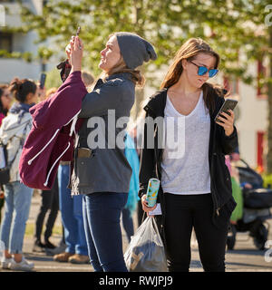Aufnehmen von Bildern mit einem Smartphone, Reykjavik, Island Stockfoto