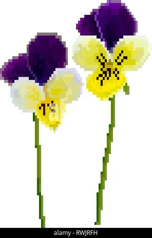 Violett und Gelb blühende Wiese Pixel-art Stock Vektor