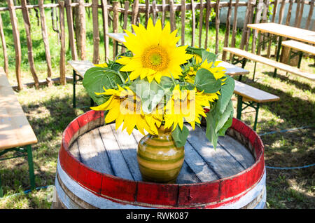 Bündel Sonnenblumen auf Fass Stockfoto