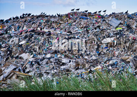 Abfälle - Abfall in Colon Panama Stockfoto