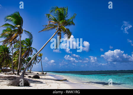 Schöner Strand mit kristallklarem Wasser an einem Strand in San Blas Inseln, Panama Stockfoto