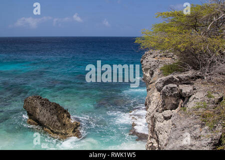 Kristallklares Wasser, glatte Surfen und eine felsige Küste am Nordufer des tropischen Insel Bonaire in Niederländische Antillen Stockfoto