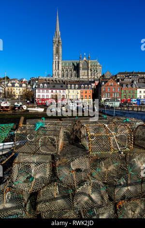 Die Kathedrale St. Colman im Hintergrund und Angeln liefert im Vordergrund; Cobh, Grafschaft. Cork, Irland Stockfoto