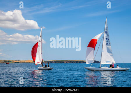 Segelboote in einem Boot Rennen, Cobh, County Cork, Irland Stockfoto