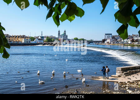 Junge Frauen nach unten stehend an den Rand des Wassers des Flusses Shannon füttern die Schwäne, Kirche der Heiligen Petrus und Paulus in der Ferne zu sehen Stockfoto