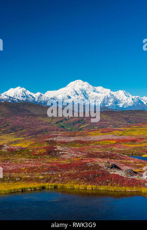 Denali National Park wie von Peters Hills mit20320' Mount Denali gesehen, Wissen formal als Mount McKinley und die Alaska Range Stockfoto