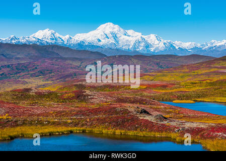 Denali National Park wie von Peters Hills mit20320' Mount Denali gesehen, Wissen formal als Mount McKinley und die Alaska Range Stockfoto