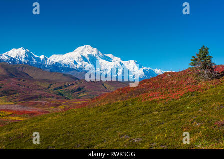 Denali National Park wie von Peters Hills mit20320' Mount Denali gesehen, Wissen formal als Mount McKinley und die Alaska Range Stockfoto