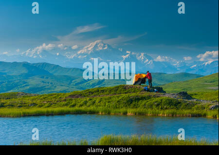 Backpacker Einrichten sein Zelt in der Tundra mit Blick auf die Südseite des Denali und der Alaska Range, Denali State Park, South-central Alaska Stockfoto