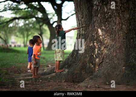 Siem Reap, Kambodscha - 08 08 2014: kambodschanische Kinder spielen im Dschungel in Angkor Wat, Siem Reap, Kambodscha Stockfoto