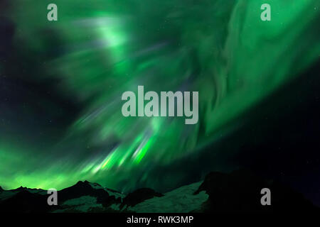 Nordlichter über Juneau Icefield, Tongass National Forest, Alaska, Vereinigte Staaten von Amerika Stockfoto