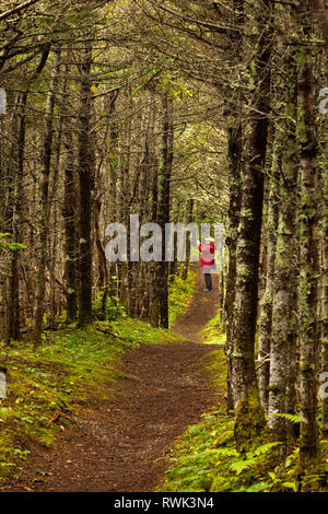 Steve's Trail, ein Waldweg, also durch eine lokale, die es verwendet, um Fischen zu gehen. Der Weg ist an der Besen Punkt Angeln Räumlichkeiten in Gros Morne National Park in der Nähe von Western Brook Pond, westlichen Neufundland, Kanada Stockfoto