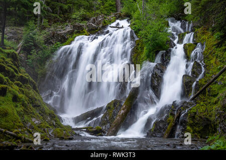 Nationale Creek Falls, Rogue River National Forest, Oregon. Stockfoto