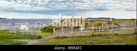 Erholung ein Wikingerhof bestehend aus sod-roofed Wohnungen bei L'Anse aux Meadows National Historic Site, L'Anse aux Meadows, Neufundland, Kanada Stockfoto