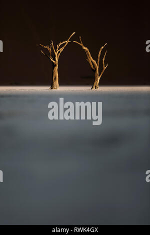 Deadvlei Bäume in den letzten Nachmittag Licht. Stockfoto