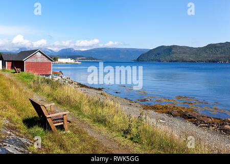 Bank, von wo aus man die Bonne Bay Shoreline anzeigen können gerade südlich von Woody Point, Gros Morne National Park, Neufundland, Kanada Stockfoto