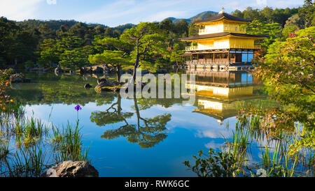 Die goldenen Pavillon, Weltkulturerbe. Kinkakuji Tempel in Kyoto - JAPAN Stockfoto