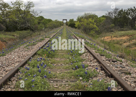 Die stillgelegte Bahnstrecken in Kingsland, Texas mit einigen Bluebonnets Stockfoto