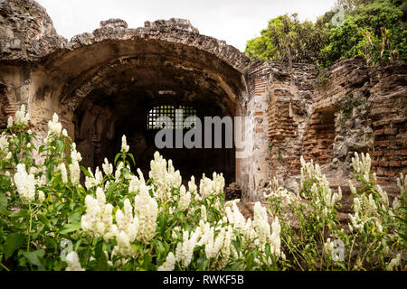 Ruinen in Hermano Pedro mit grünem Garten, Antigua, Guatemala Stockfoto