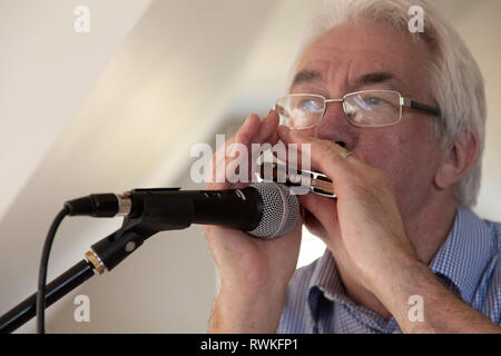 Ein älterer Mann, graues Haar, Brille, die eine Hohner Mundharmonika in ein Shure-Mikrofon spielt. Stockfoto