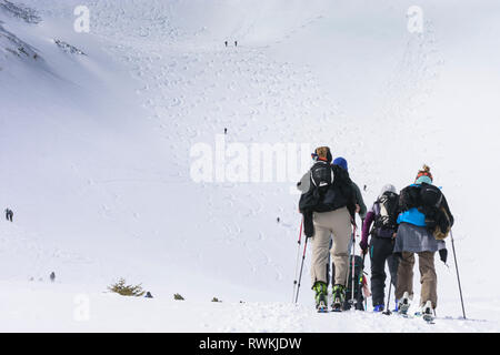 Nationalpark Gesäuse: Aufsteigend und Absteigend ski Tourer, Berg Leobner, Skitour, abwärts im Gesäuse, Steiermark, Steiermark, Österreich Stockfoto