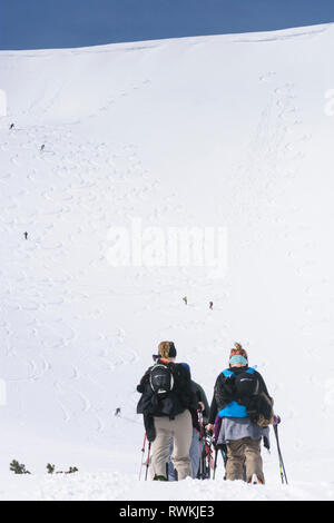 Nationalpark Gesäuse: Aufsteigend und Absteigend ski Tourer, Berg Leobner, Skitour, abwärts im Gesäuse, Steiermark, Steiermark, Österreich Stockfoto