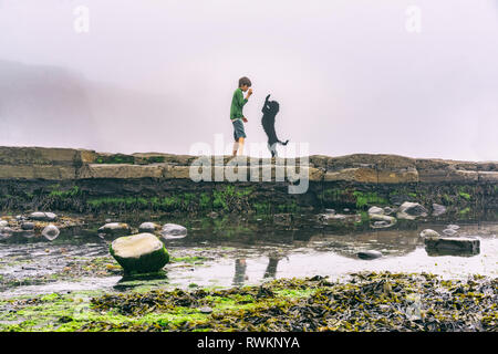 Junge und Hund am Meer genießen. Stockfoto