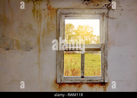 Innenraum eines zerstörten Haus mit alten, schmutzigen und rissig weiße Wand und eine gebrochene vintage Fensterrahmen Anzeigen einer grünen Wiese feld landschaft Stockfoto