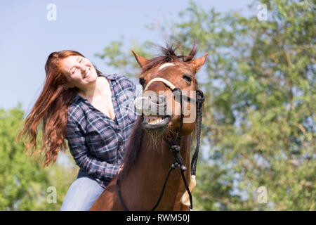 Missouri Foxtrotter. Rothaarige junge Frau auf fuchswallach auf einer Weide, beide lachen. Schweiz Stockfoto