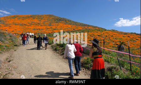 Die Menschen in Scharen in den Kalifornischen Wüsten, Zeuge der2019 super Blüte Stockfoto