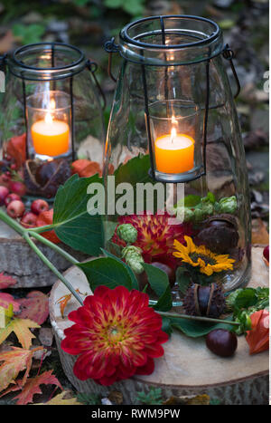 Botanik, Laterne herbstliche Ornament, Vorsicht! Für Greetingcard-Use/Postcard-Use in deutschsprachigen Ländern gibt es einige Einschränkungen Stockfoto