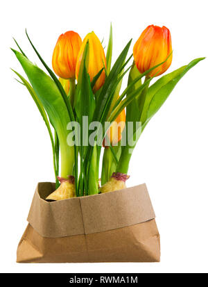 Spring deco mit künstlichen orange Tulpen isoliert auf weißem Stockfoto