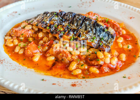 Gegrillte Makrele Fischfilet auf einer würzigen Tomaten und Chorizo und weißen Bohnen Sauce in eine weiße, ovale Platte Stockfoto