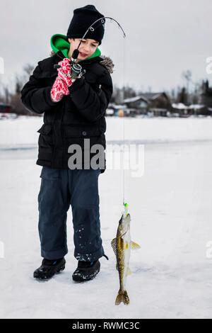 Ein Junge fängt einen Walleye beim Eisfischen auf See Wabamum während einer Familie Winter Outing; Wabamun, Alberta, Kanada Stockfoto