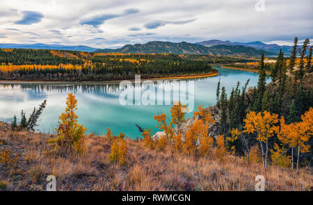 Takhini River, in der Nähe von Whitehorse, Yukon. Im Herbst, so dass die Landschaft hell mit Farbe ist; Whitehorse, Yukon, Kanada Stockfoto