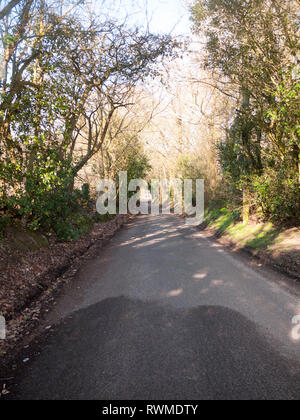 Wunderschöne Landschaft Dedham wasser Szene außerhalb der Natur Landschaft, Essex, England, Großbritannien Stockfoto