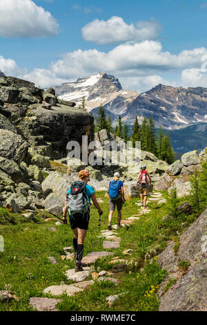 Drei weibliche Wanderer auf felsigen Pfad in einem Berg Wiese mit Blick auf die Berge, den blauen Himmel und Wolken im Hintergrund; British Columbia, Kanada Stockfoto