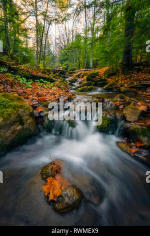 Wasser über die Felsen in einem Herbst Landschaft; Ontario, Kanada Stockfoto