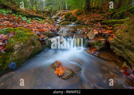 Wasser über die Felsen in einem Herbst Landschaft, in der Nähe von Blue Mountain; Ontario, Kanada Stockfoto