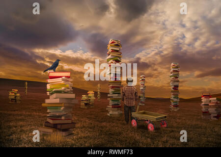 Ein Junge in einem Feld mit einem Wagen am Stapel der Bücher suchen, das zusammengesetzte Bild Stockfoto